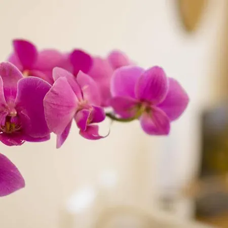 Martino Ai Monti Hotel Rome